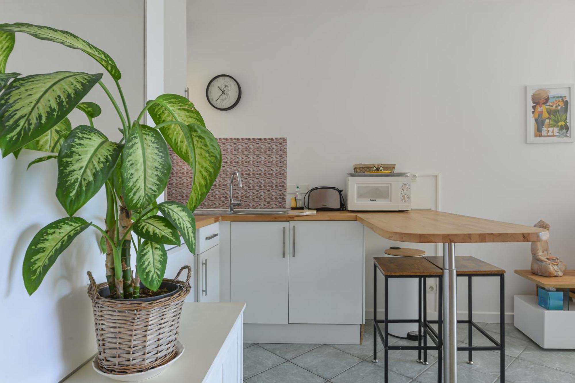 Magnifique Au Calme, Climatisation, Parking, Wifi. Apartment Beaulieu-sur-Mer